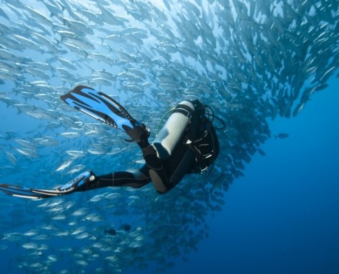 best-dive-sites-1532680399-785X440