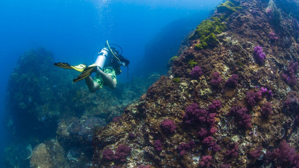 0Wf8bwwRgG2hbMWU3ObQ_Similan-Islands-diving4-KM-2240x1260