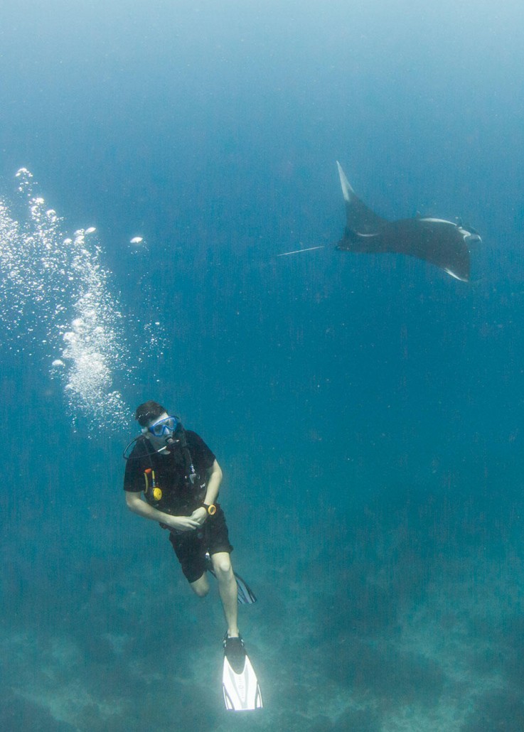 b5qF25ST76xZ2hVLrCrO_Similan-Islands-manta-KM-1260x1760