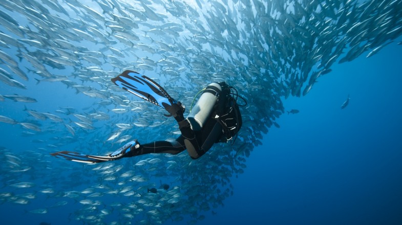 best-dive-sites-1532680399-785X440