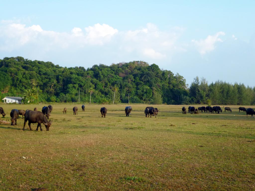 full_island_koh_kho_khao_8